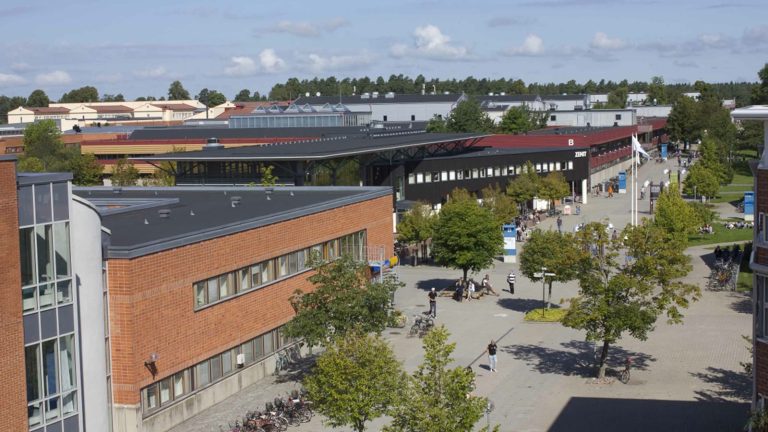 Vy över Campus Valla vid Linköpings universitet med tegelbyggnader, torg, träd och cyklar en solig dag