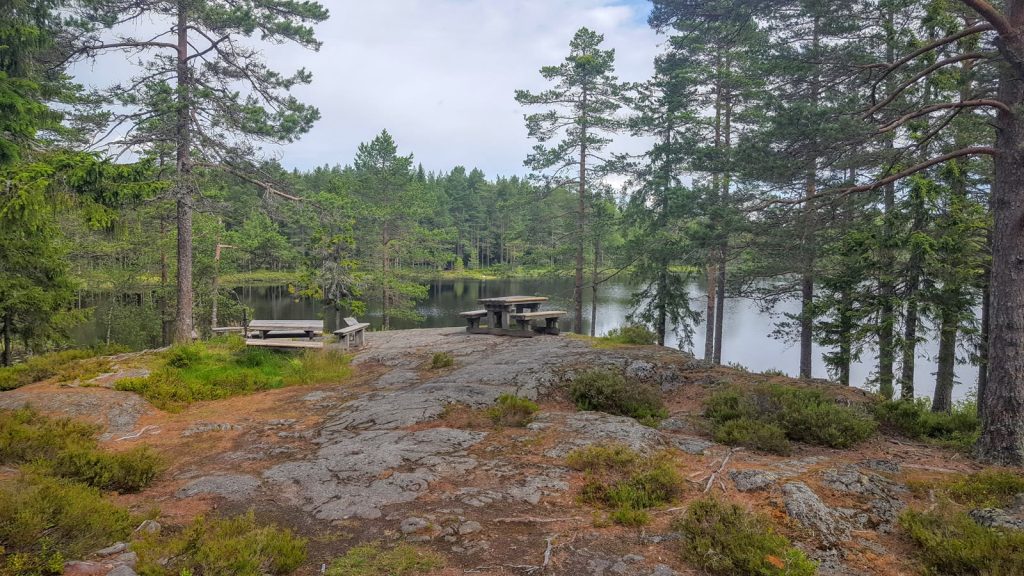 Tallskog på en berghäll vid en skogssjö i Örnsköldsvik, med rastbord och bänkar i förgrunden